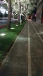 Imagine atasata: WhatsApp Image 2020-07-31 at 10.31.37.jpeg